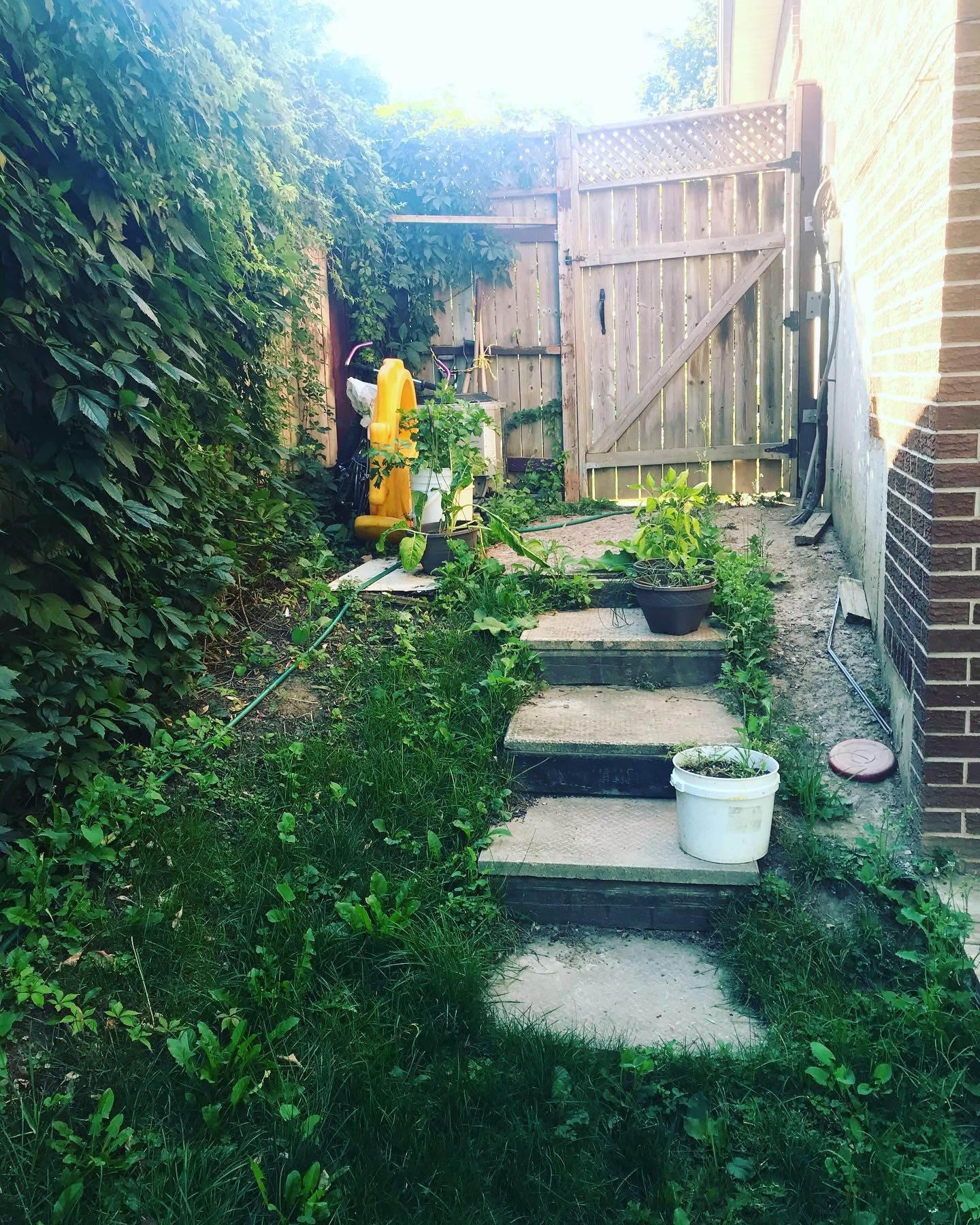 Hardscaping and fencing